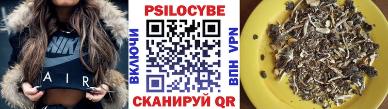 Галлюциногенные грибы Psilocybine cubensis  купить наркоту  Усолье 